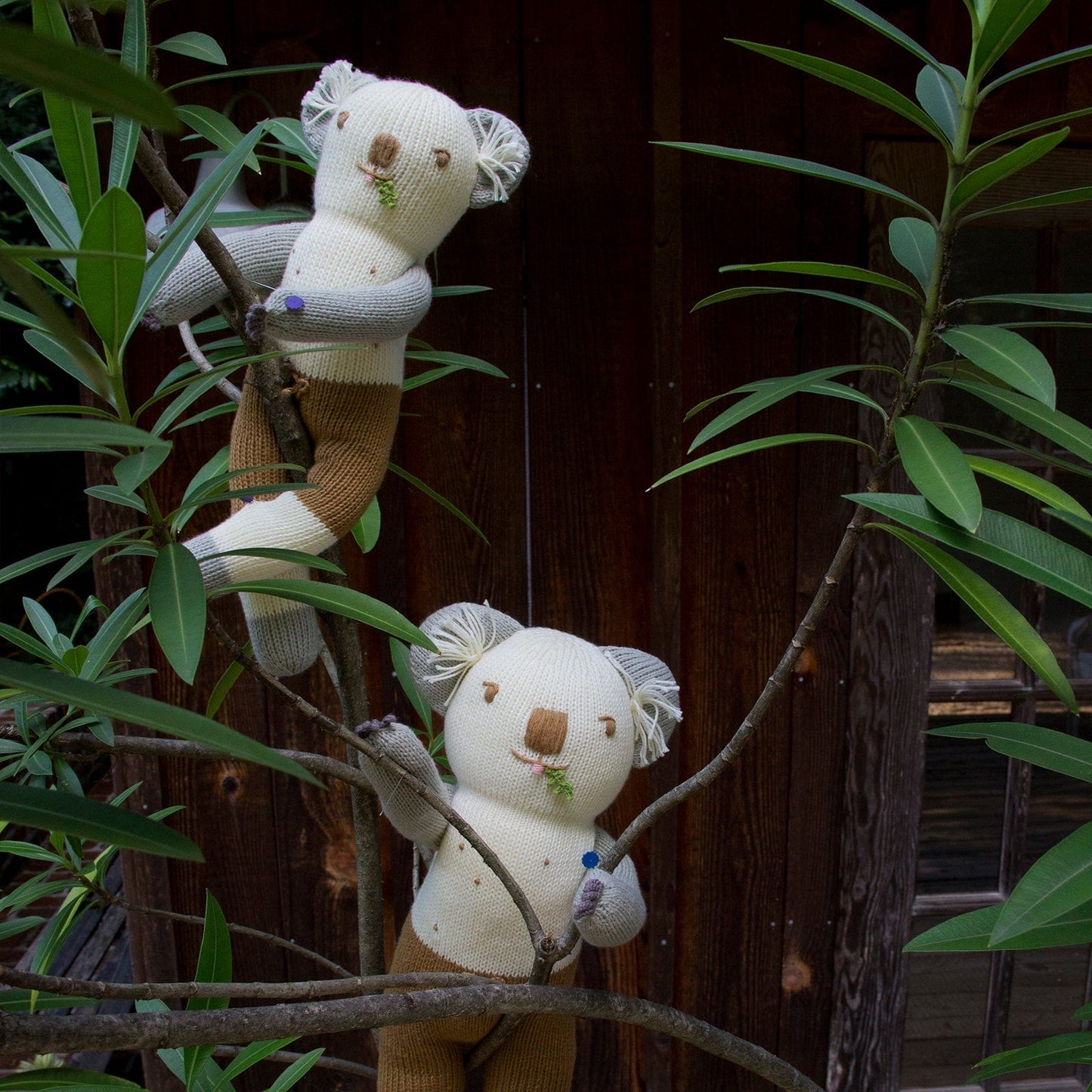 Blabla Kids Doll - Koa the Koala